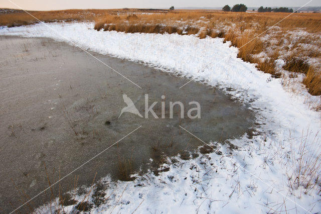 Veluwe