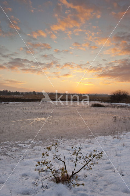 Veluwe