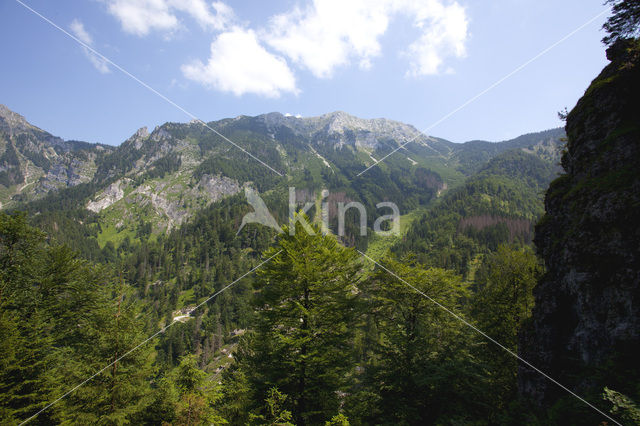 Wildnisgebiet Dürrenstein