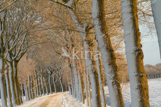 Landgoed De Klencke