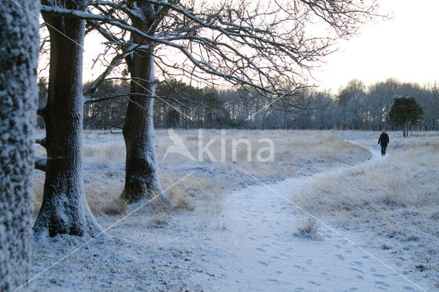 Landgoed De Klencke