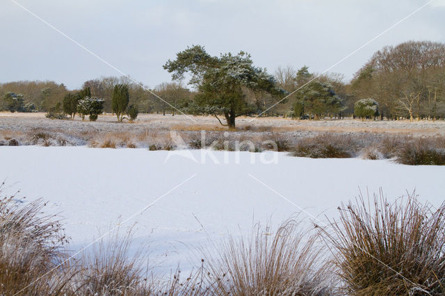 Landgoed De Klencke