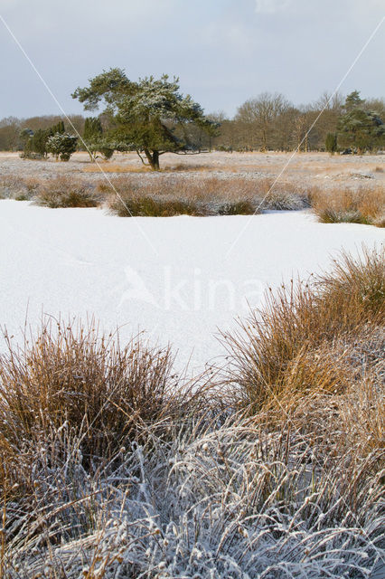 Landgoed De Klencke