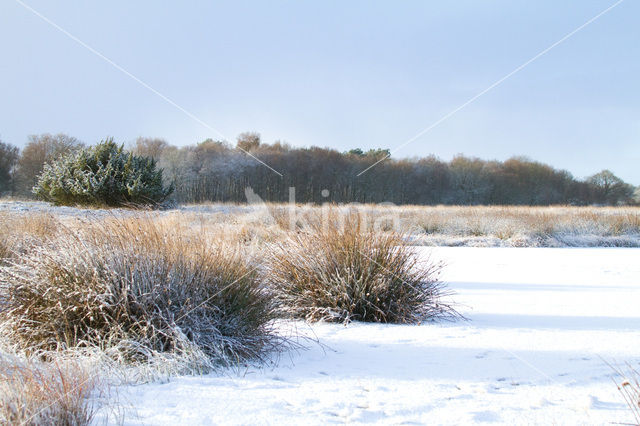 Landgoed De Klencke