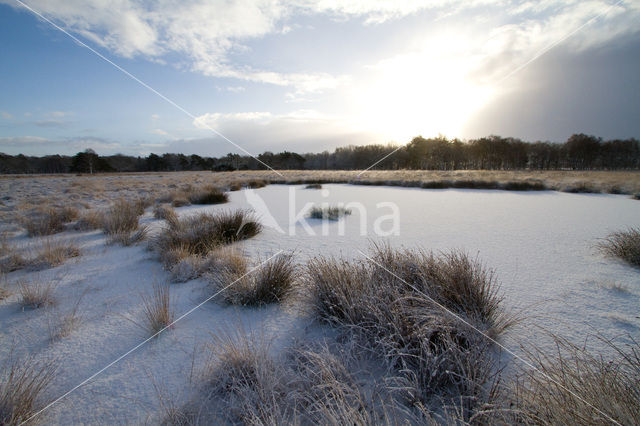 Landgoed De Klencke