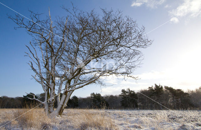 Landgoed De Klencke