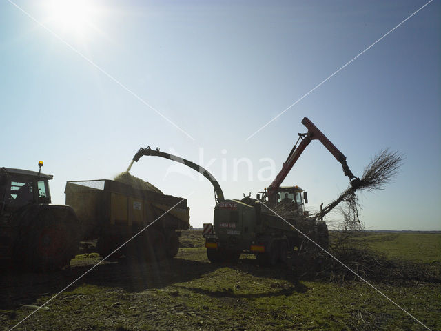 Nationaal Park Dwingelderveld