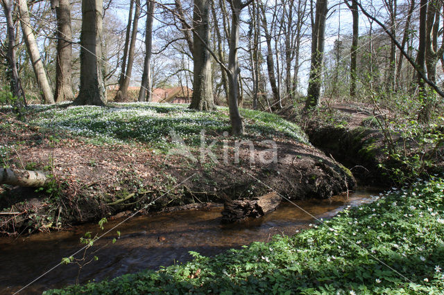 Dal van de Mosbeek