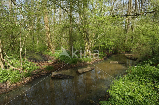 De Mortelen en Heerenbeek