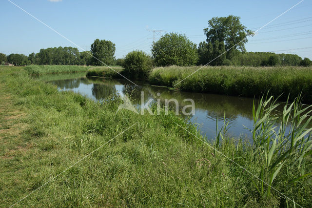 Kleine Dommel