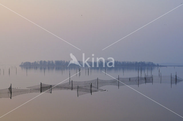 Nationaal Park Lauwersmeer