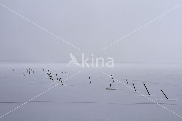 Nationaal Park Lauwersmeer