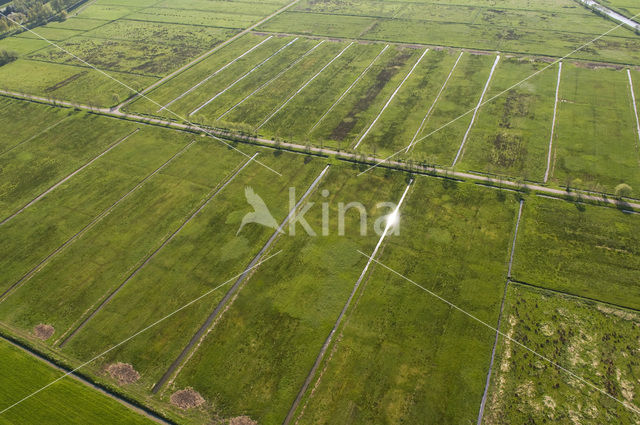 Natuurgebied Oude Riet