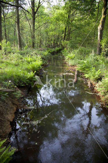 Noord-Brabant