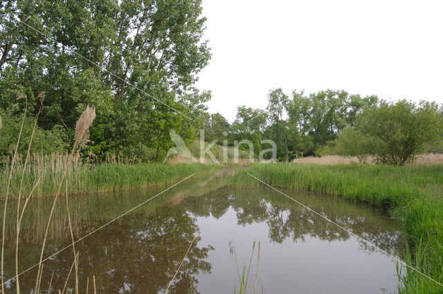 Urkhovense zeggen