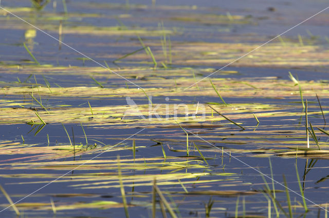 Biebrza National Park