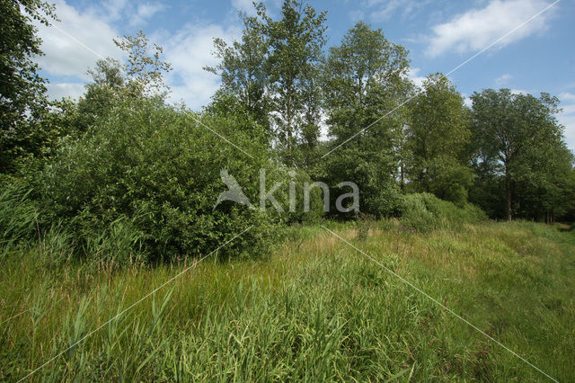 De Mortelen en Heerenbeek