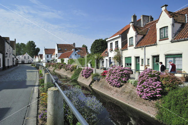 Lissewege