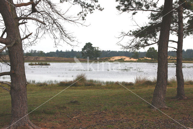 Nationaal Park Drents-Friese Wold