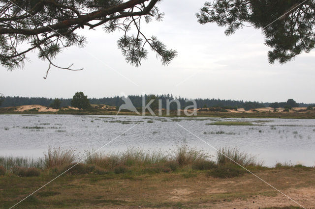 Nationaal Park Drents-Friese Wold