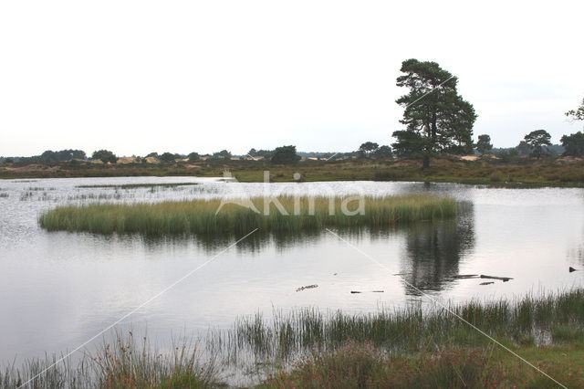 Nationaal Park Drents-Friese Wold