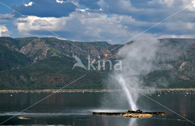 Lake Bogoria National Reserve