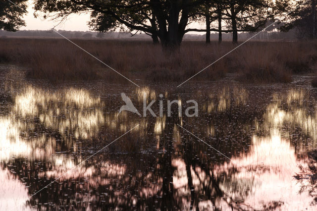 Nationaal Park Dwingelderveld