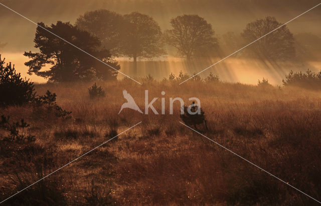 Nationaal Park Veluwezoom