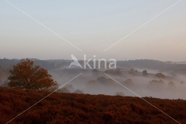 Nationaal Park Veluwezoom