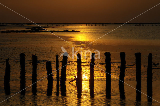 Waddenzee