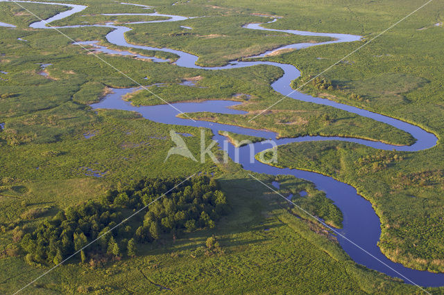 Biebrza National Park