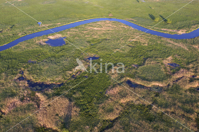 Biebrza National Park