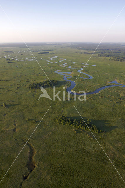 Biebrza National Park