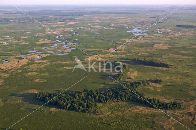 Biebrza National Park