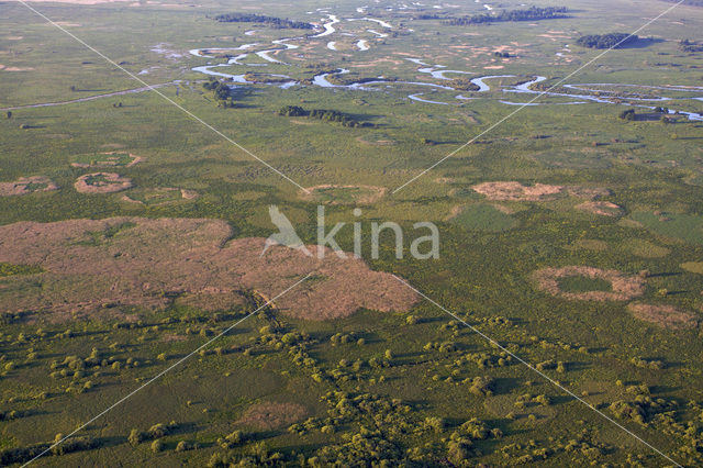 Biebrza National Park