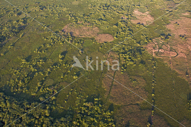 Biebrza National Park