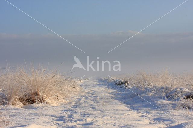 Nationaal Park De Hoge Veluwe