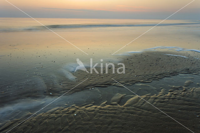 Noordzeestrand