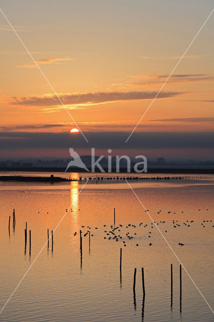 Polder Arkemheen