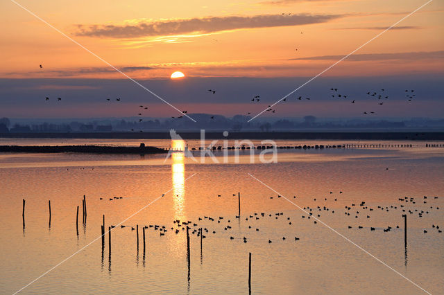 Polder Arkemheen