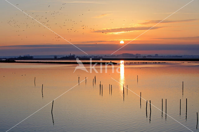 Polder Arkemheen