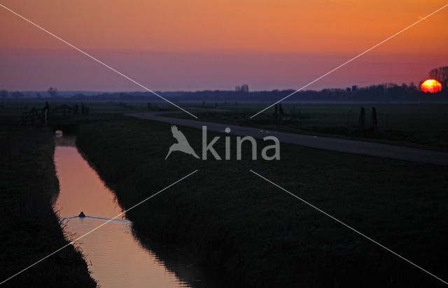 Polder Arkemheen