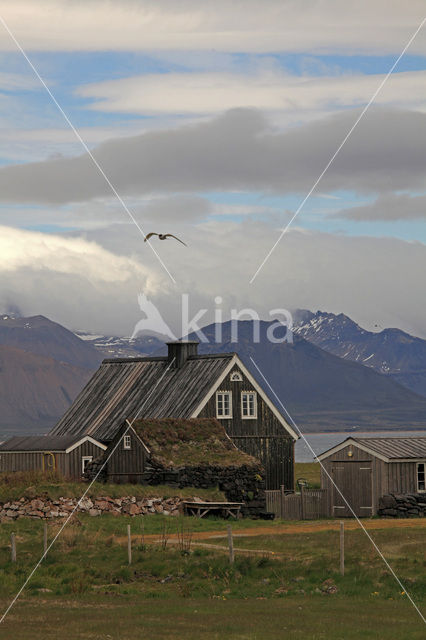 Snaefellsnes schiereiland