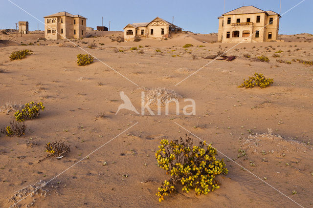 Kolmanskop