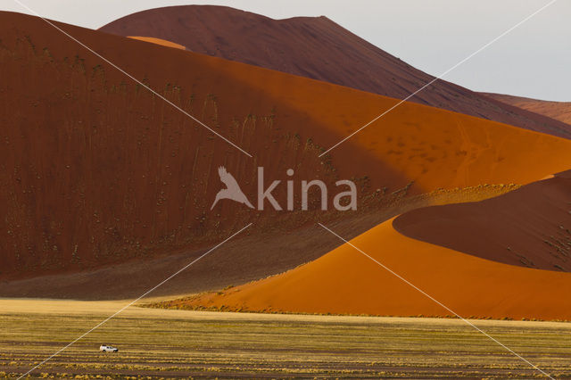 Namib naukluft national park