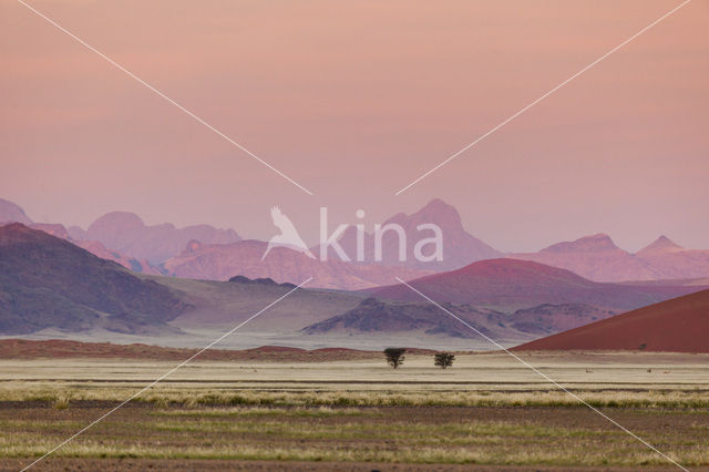 Namib naukluft national park