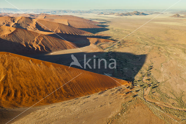 Namib naukluft national park