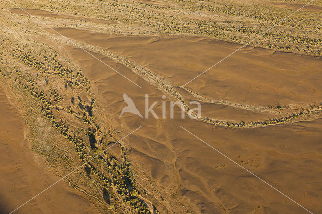 Namib naukluft national park