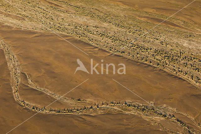 Namib naukluft national park