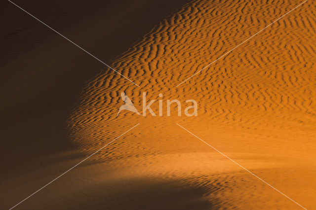 Namib naukluft national park